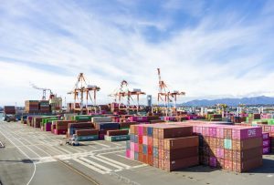 屏幕截图 2026 03 12 204510 300x203 国际 | 可持续食品一周快讯：美国暂停多国关税，爱尔兰获500万欧元升级食物废弃物，Onego Bio合作开发非动物源蛋粉