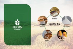 屏幕截图 2026 06 25 101236 300x204 植脂末巨头转身：佳禾食品6.5亿元投建46万吨超级植物奶项目