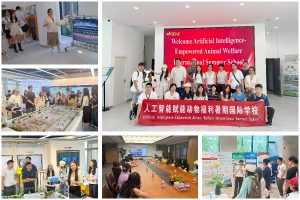 中国农业大学“人工智能赋能动物福利”国际暑期学校圆满结业,中外学子共探智慧养殖新路径 a7931ec8c9784ca8839ef78c119b4341 300x200 中国农业大学“人工智能赋能动物福利”国际暑期学校圆满结业,中外学子共探智慧养殖新路径