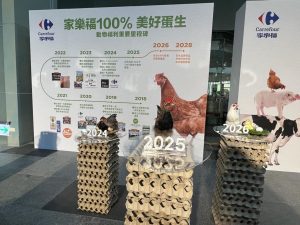20251201003978 300x225 8年转型、从4%到100%：家乐福台湾如何撬动一场鸡蛋供应链革命